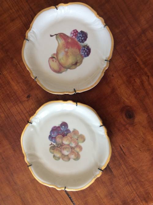 Rosenthal Fruit Wall plates