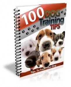 100 Dog Training Tips -  *No Shipping Fee*  Ebook