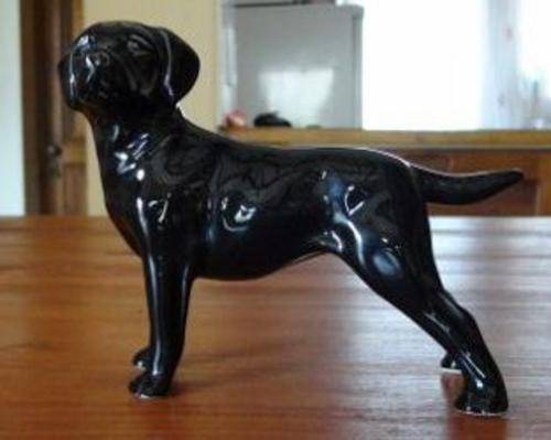 MEDIUM SIZE BLACK LABRADOR
