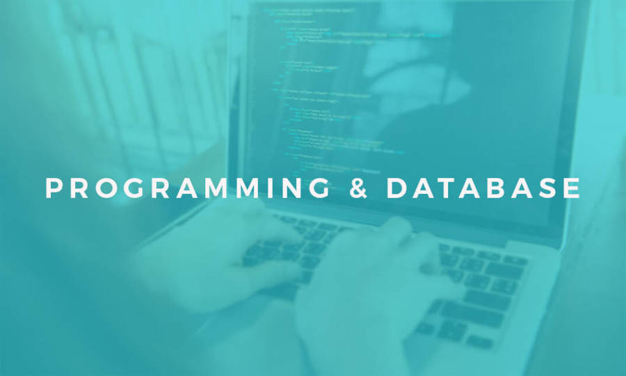 Accredited Online Course - Programming and Database Diploma Level 3