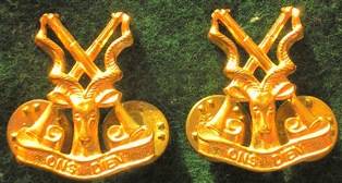 Regiment Christiaan Beyers Gilded Collar Badges