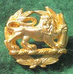 Rhodesia BSAP Rank Badge - 22mm