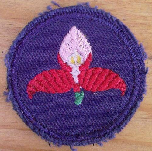 WP Rugby Disa Cloth Badge - 40mm