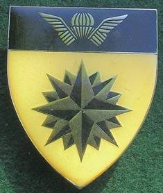 5 Reconnaissance Regt. Shoulder Flash - 1 pin broken off, but included