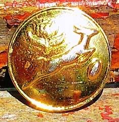 SA Rugby Blazer Button -- 17mm
