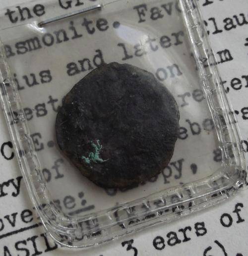 Copper Prutah, King Agrippa I (37-44 CE) with certificate of authenticity