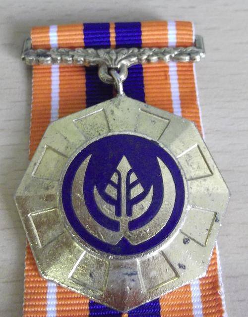 Pro Patria medal, *link suspender* Full size, no.56308, with ribbon - as per photos