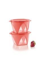 Tupperware Outdoor Dining Bowls 1.5L x 2