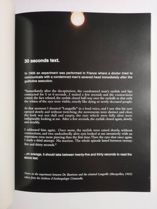 Searchlight: Consciousness at the Millennium Paperback