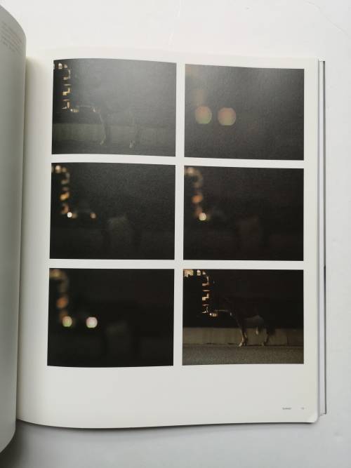 Anri Sala (Phaidon Contemporary Artist Series)