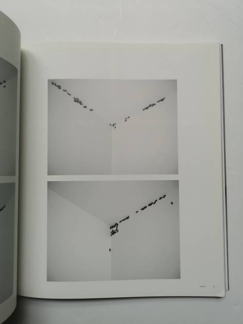 Anri Sala (Phaidon Contemporary Artist Series)