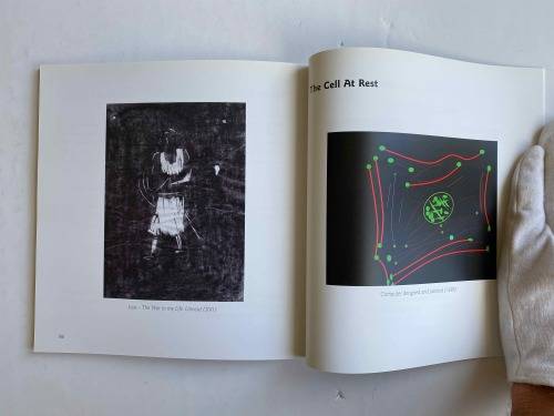 Faint traces of light by Peter Folb