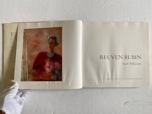 Reuven Rubin by Sarah Wilkinson (Author)