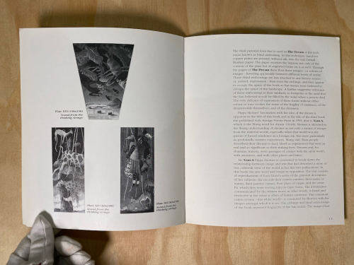 Pippa Skotnes: in the Wake of the White Wagons- Essay By Michael Godby