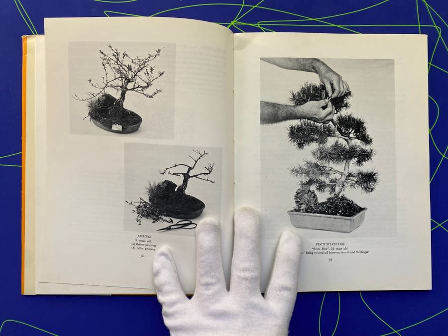 The South African Bonsai Book by Doug Hall and Don Black