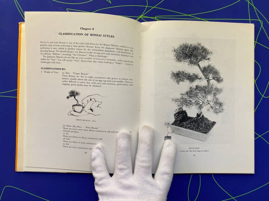 The South African Bonsai Book by Doug Hall and Don Black