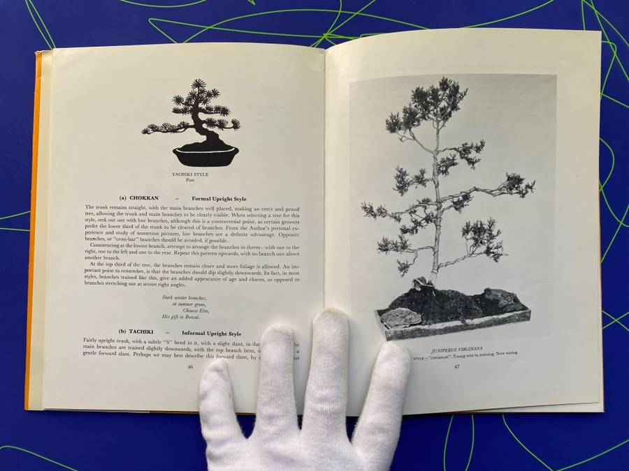 The South African Bonsai Book by Doug Hall and Don Black