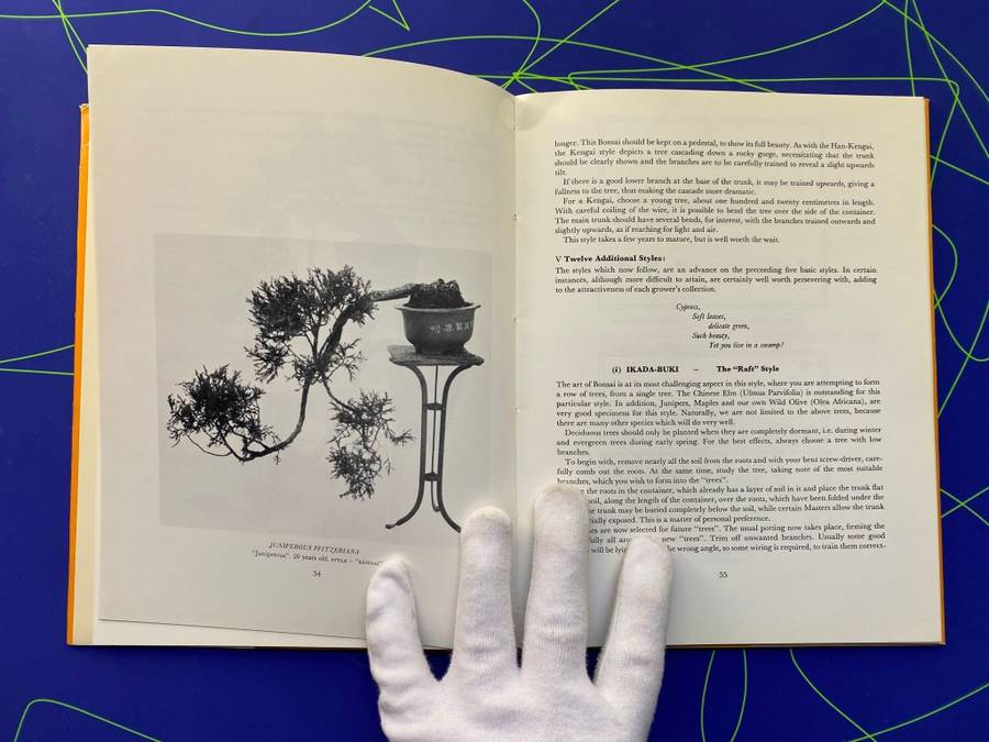 The South African Bonsai Book by Doug Hall and Don Black