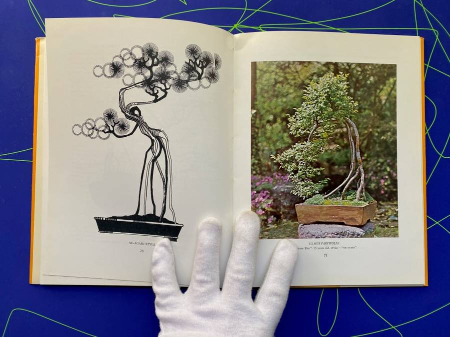 The South African Bonsai Book by Doug Hall and Don Black