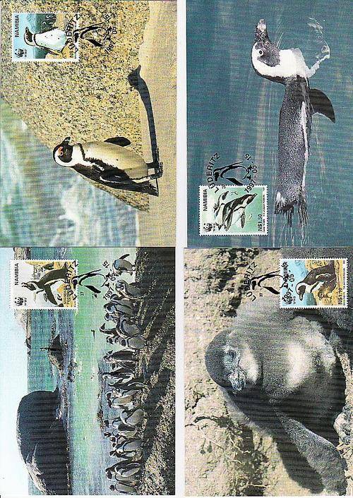 WORLD WILD LIFE SET OF 4 POSTCARDS ON THE JACKASS