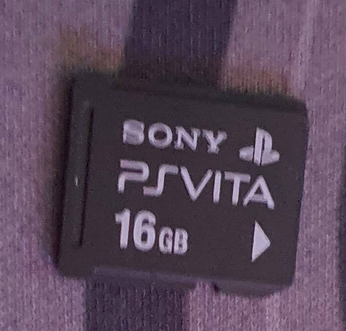 PSVITA 1000. with 16gb memory card and 128GB fast SD and SD2Vita. henkaku installed (Mod software).