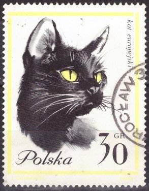 THEMATIC CATS POLAND ULH