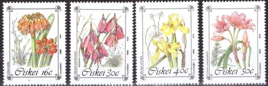 CISKEI  1988 Endangered and Protected Plant Species MNH SET