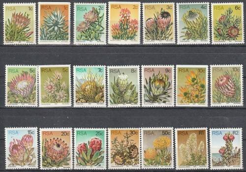 RSA 1977 Flora - Protea Plants UMM WITH COILS