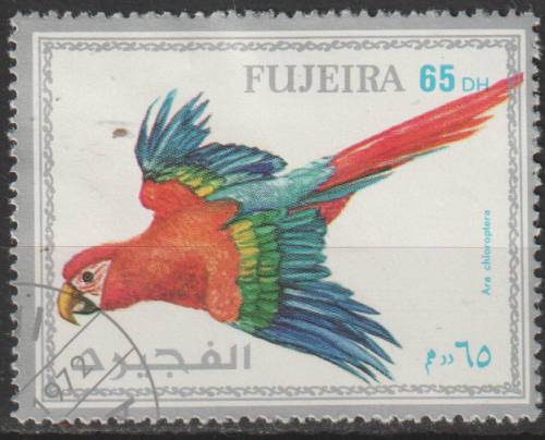 THEMATIC BIRDS FUJEIRA CTO
