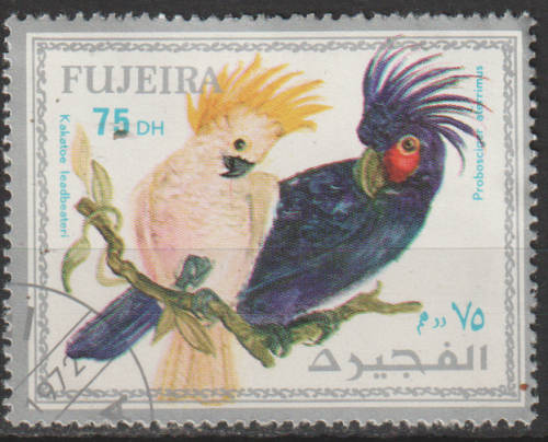 THEMATIC BIRDS FUJEIRA CTO