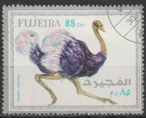 THEMATIC BIRDS FUJEIRA CTO
