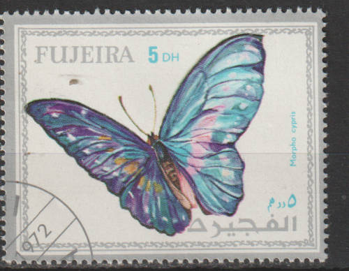 THEMATIC BUTTERFLIES FUJEIRA CTO