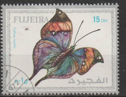 THEMATIC BUTTERFLIES FUJEIRA CTO