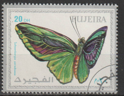 THEMATIC BUTTERFLIES FUJEIRA CTO