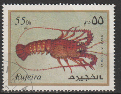 THEMATIC MARINE LIFE FUJEIRA CTO