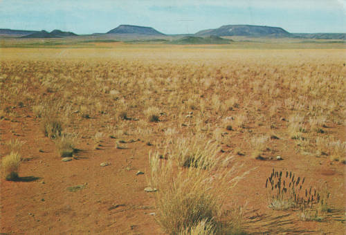 POSTAL HISTORY SWA POST CARD