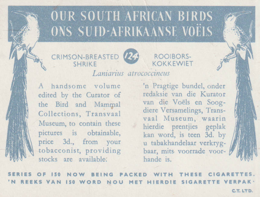 CIGARETTE CARD OUR SOUTH AFRICAN BIRDS NO. 124