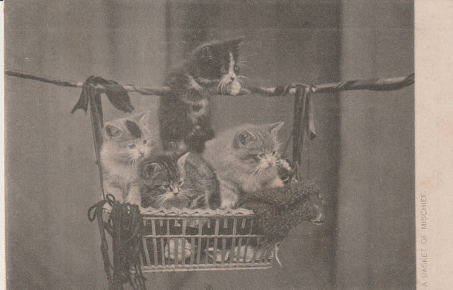 VINTAGE USED POST CARD NATAL 1904