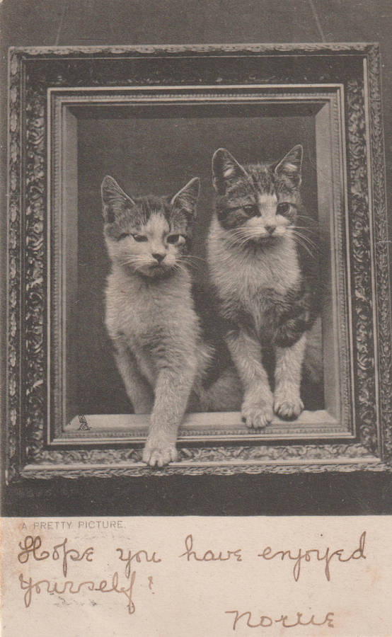 VINTAGE USED POST CARD NATAL 1904