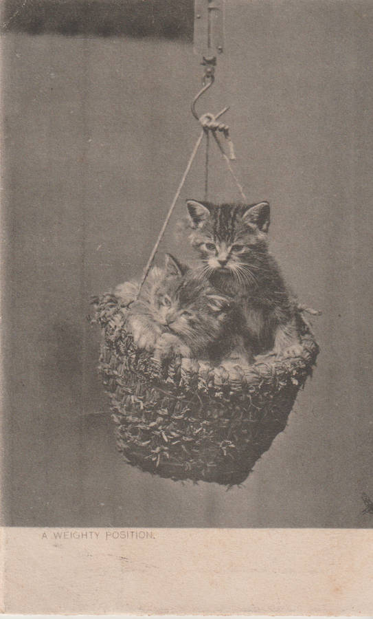 VINTAGE USED POST CARD NATAL 1904