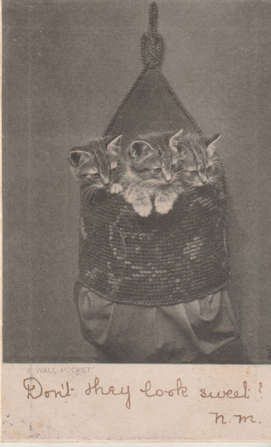 VINTAGE USED POST CARD NATAL 1904