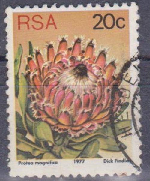 R.S.A. STAMP