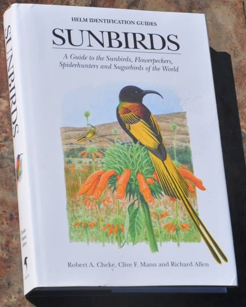 SUNBIRDS - BRILLIANT AFRICANA COLLECTIBLE