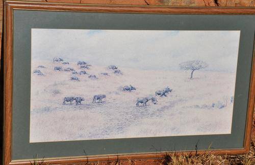 BUFFALOS IN HLUHLUWE by JEFF HUNTLY, framed - pick up possible