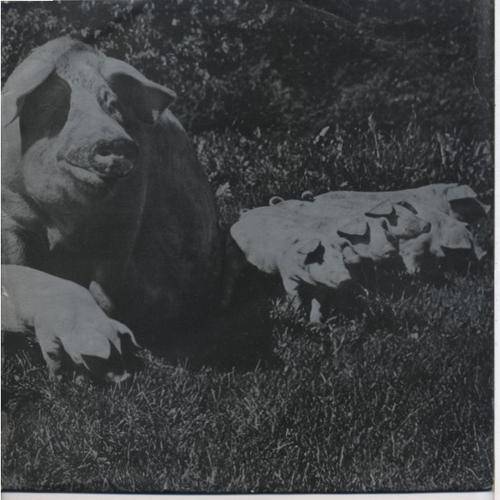 Pink Floyd - Live Best of Tour '72    LP