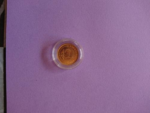 1993 1/10th kruger rand