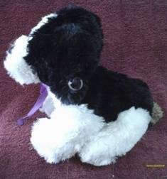 Plush Toy - Black & White Dog Teddy +-19cm