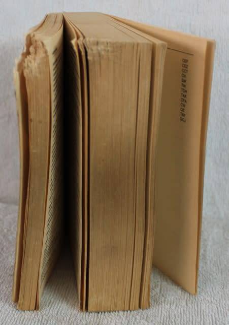 Book  -.Blokraaisel Woordeboek (L.L. Paswgroun)
