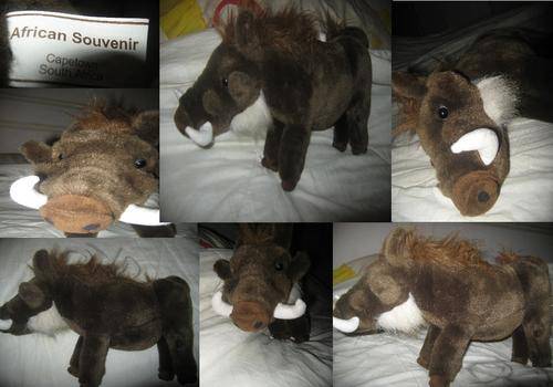 african warthog animal collectable cape town souvenir plush teddy new excellent condition boys girls children adult safari
