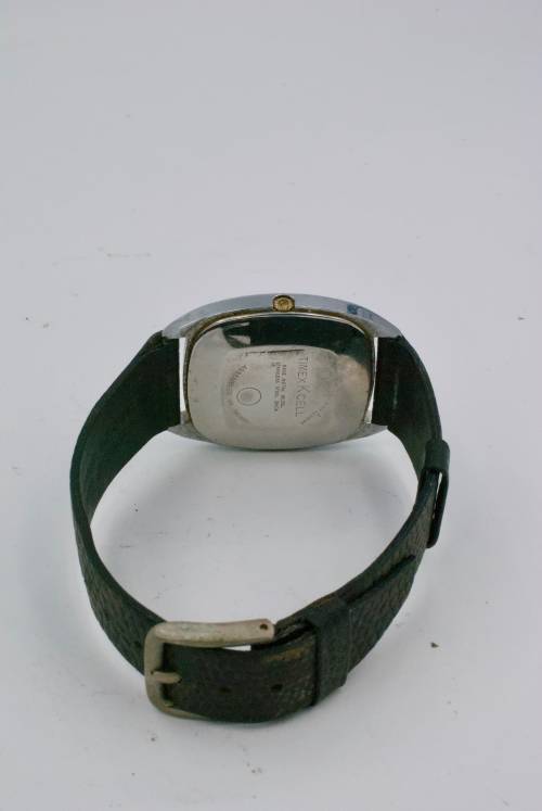 Timex Base metal Watch (Quartz)